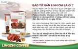 Cà phê sức khỏe Lingzhi Coffee