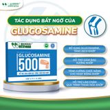 Thực phẩm làm chậm thoái hóa khớp Glucosamine