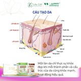Thực phẩm bảo vệ sức khoẻ Protein thực vật Cordypro