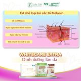 Thực phẩm bảo vệ sức khoẻ Protein thực vật Cordypro