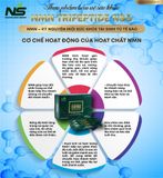 Thực phẩm bảo vệ sức khỏe NMN Tripeptide NSG
