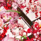  Vòng Tay Thiết Kế Angelic Connection 364 Đá Đào Hoa SP007906 Gypsylala 