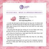  Dây chuyền Pink Paradise Đào Hoa SP007304 Gypsy.lala 