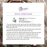  Vòng Tay Thiết Kế Calm Clearing Đá Ưu Linh Xanh SP008054 Gypsylala 