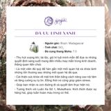  Vòng Tay Thiết Kế Green Gateway Đá Ưu Linh Xanh SP008055 Gypsylala 