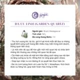  Vòng Tay Thiết Kế Wellness Symphony Ưu Linh Ngũ Sắc SP008064 Gypsylala 