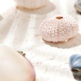  Vòng Tay Thiết Kế Nữ Dewdrops & Driftwood Thạch Anh Trắng, Topaz SP008174 Gypsy.lala 