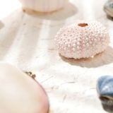  Dây Chuyền Moon Over Water Đá Moonstone SP008196 Gypsy.lala 