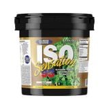 ULTIMATE NUTRITION ISO93 WHEY 5LBS 