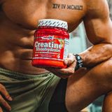  AMIX CREATINE MONOHYDRATE 500GRAM 