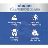  APPLIED NUTRITION CRITICAL WHEY 150 GRAM 