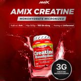  AMIX CREATINE MONOHYDRATE 500GRAM 