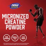  NOW MICRONIZED CREATINE MONOHYDRATE 600 GRAM 