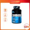  EVL TRANS4ORM 60 VIÊN NHỘNG 