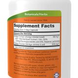  Now Ginkgo Biloba 60mg 240 viên 