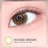  INTENSE 1 NĂM - ( 1 CHIẾC) Brown - Kính áp tròng Hàn Quốc Seoullens 