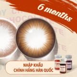  DANDY - 6 THÁNG (1 CHIẾC) Brown - Kính áp tròng Hàn Quốc Seoullens 