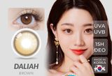 OLOLA - 6 THÁNG (1 CHIẾC) Dahlia Brown - Kính áp tròng Hàn Quốc Seoullens 
