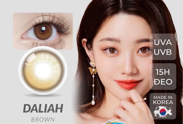  OLOLA - 6 THÁNG (1 CHIẾC) Dahlia Brown - Kính áp tròng Hàn Quốc Seoullens 