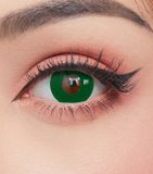  OLENS - 6 THÁNG (1 CHIẾC) Demon Green/ Maul/ Violet/ Yellow COSPLAY HALLOWEEN - Kính áp tròng Hàn Quốc Seoullens 