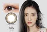  CLALEN IRIS - 1 NGÀY (1 CHIẾC) Latin Brown - Kính áp tròng Hàn Quốc Seoullens 