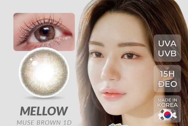  OLOLA - 1 NGÀY (1 CHIẾC)  Mellow Muse Brown - Kính áp tròng Hàn Quốc Seoulens 