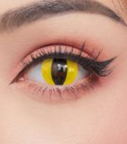  OLENS - 6 THÁNG (1 CHIẾC) Yellow/ Aqua Cat COSPLAY HALLOWEEN - Kính áp tròng Hàn Quốc Seoullens 