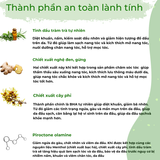  Dầu gội thảo dược không Sillicon chiết xuất Nghệ đen - Tràm trà Lagumi 340g 