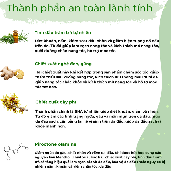 Dầu gội thảo dược không Sillicon chiết xuất Nghệ đen - Tràm trà Lagumi 340g