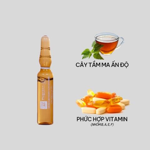  PS II MINERAL&VITAMIN CONCENTRATE 22x2ml (Tinh chất cô đặc bổ sung vitamin và khoáng chất dành cho da dầu) - 4519 