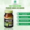 TPBVSK Bổ Não Giúp Tập Trung Trí Nhớ , Cải Thiện Trí Nhớ Phục Hồi Tế Bào Não GINKGO LEAF Noguchi 60 viên
