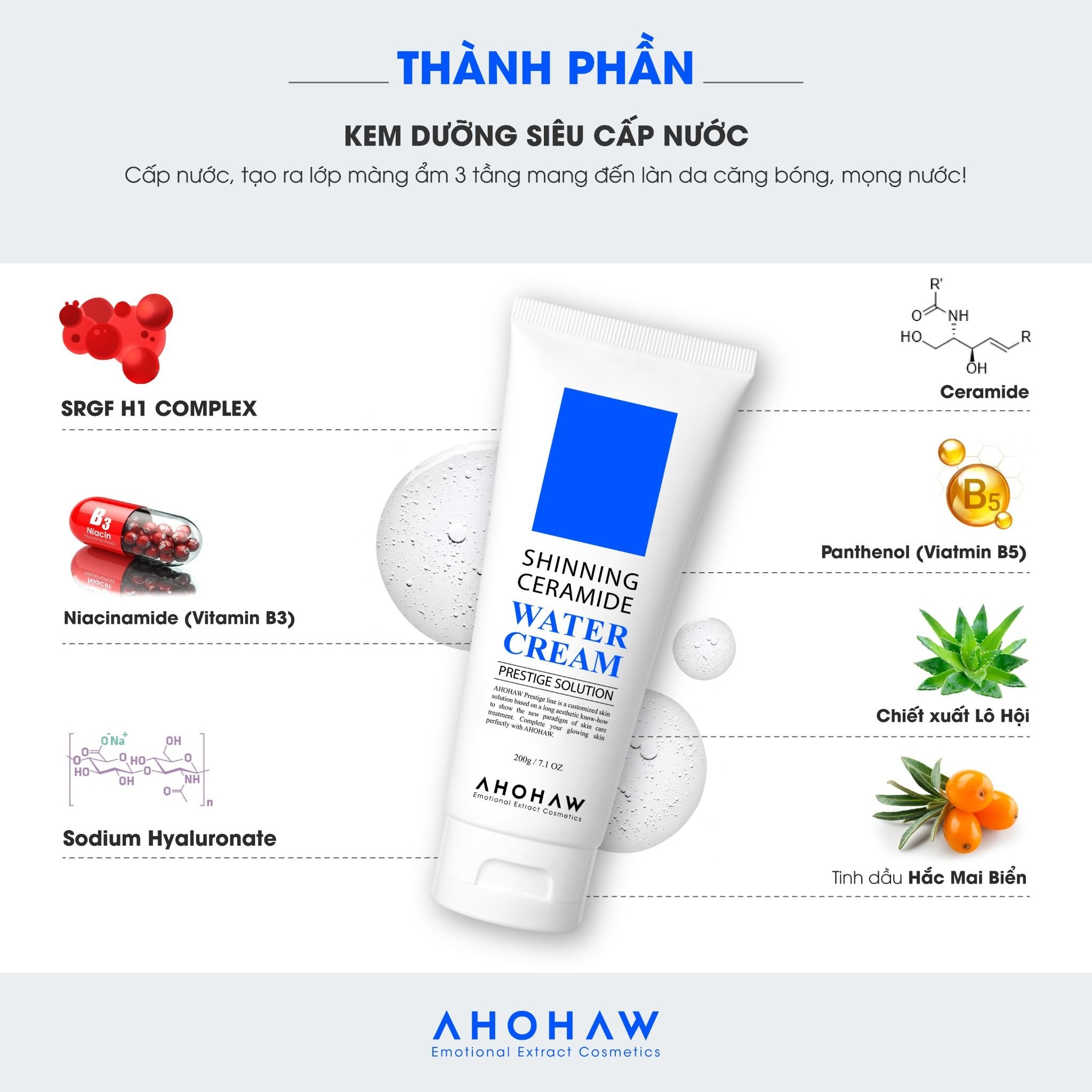  Kem Dưỡng Cấp Nước, Căng Bóng Ahohwa Shinning Ceraminde Water Cream (80g/200g) 