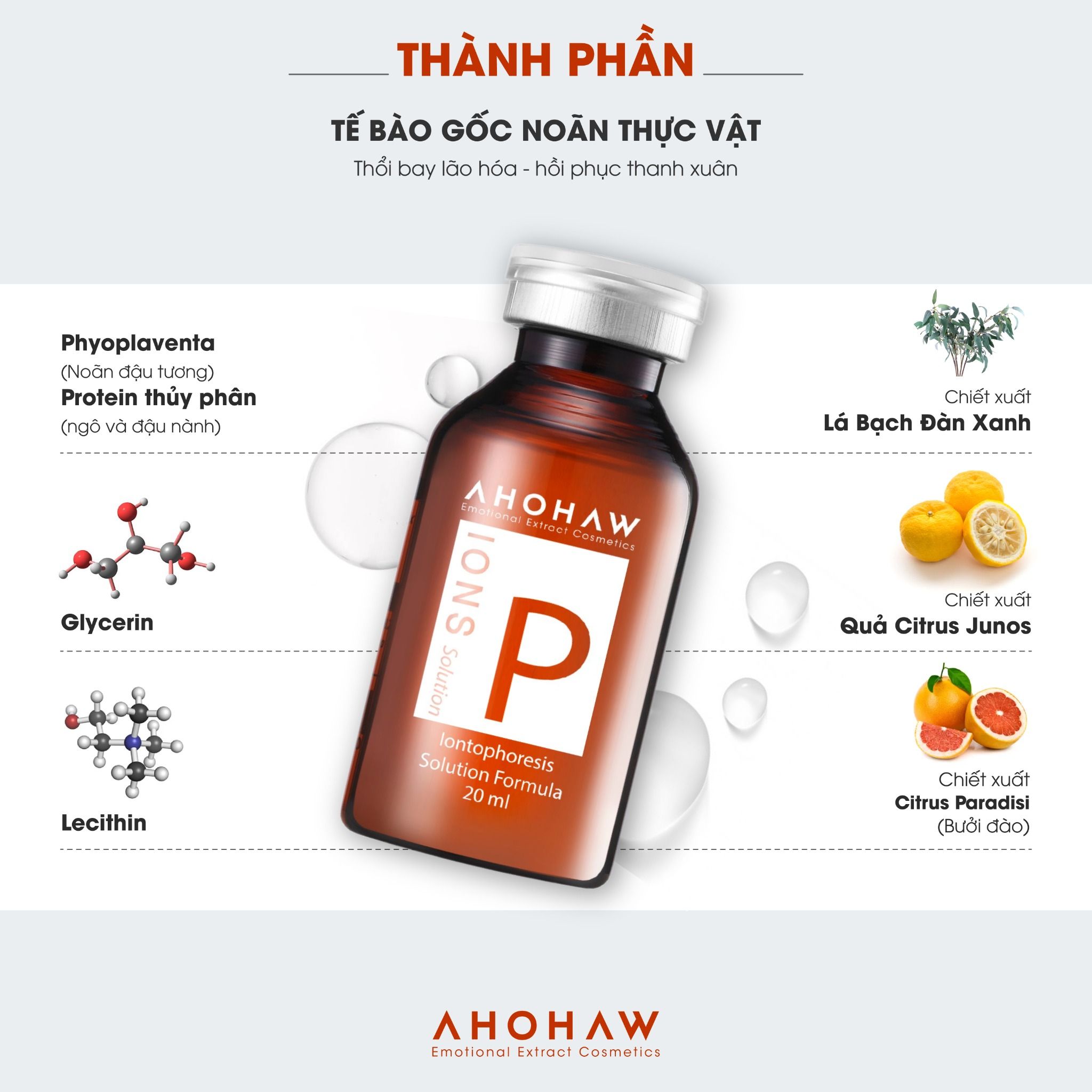  Tế bào gốc noãn thực vật (BIO PLACENTA) Ions P Solution 
