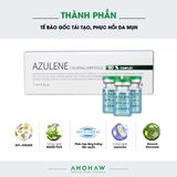  Azulene Calming Ampoule 80% Complex 
