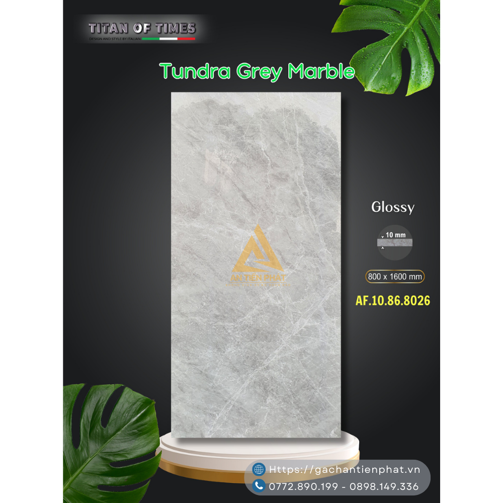 Gạch 80x160 Apodio AF.10.86.8026 ( 8026 ) Tundra Grey Marble Glossy An