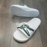  Dép lacoste chính hãng 