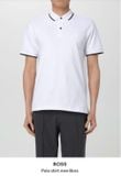  Áo polo nam phối viền 