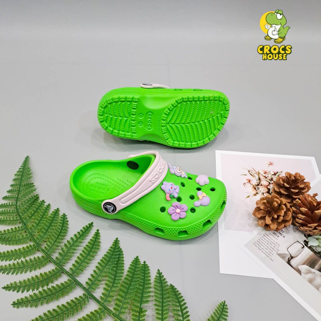  Dép sục Dinas classic trẻ em chính hãng quai phối màu 