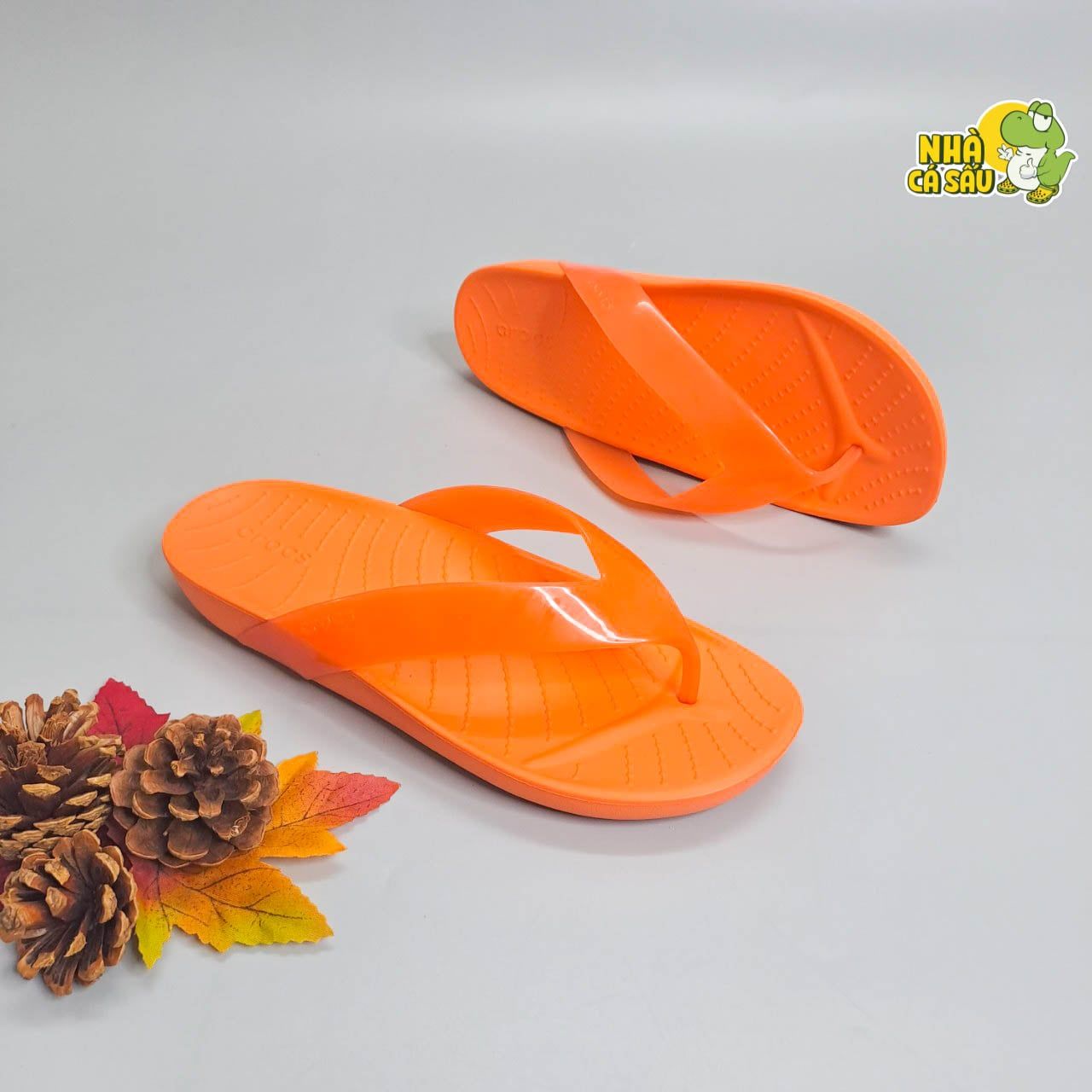  Dép xỏ ngón Dinas nữ splash glossy chính hãng 