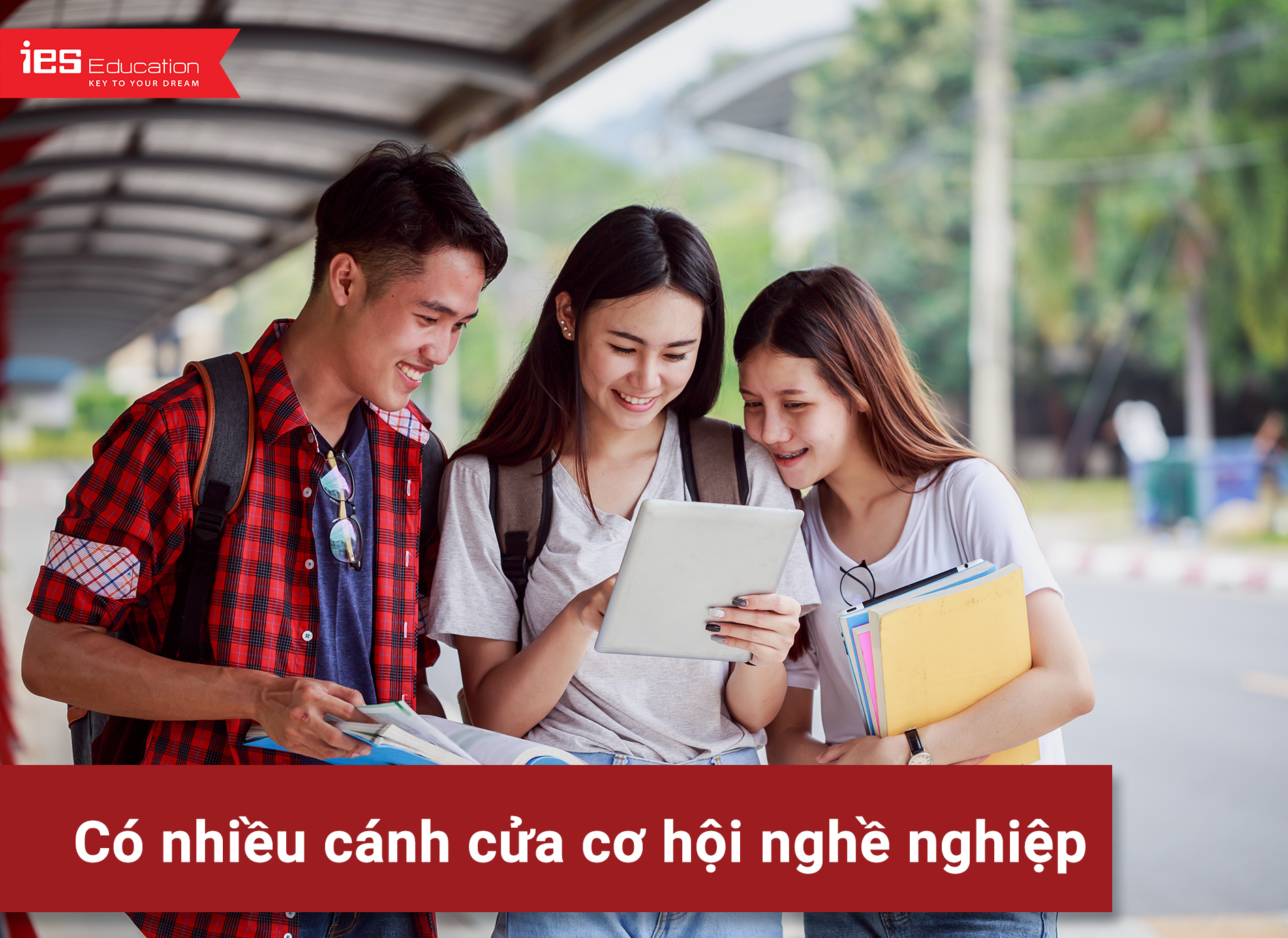 8+ Lợi ích của chứng chỉ tiếng Anh IELTS