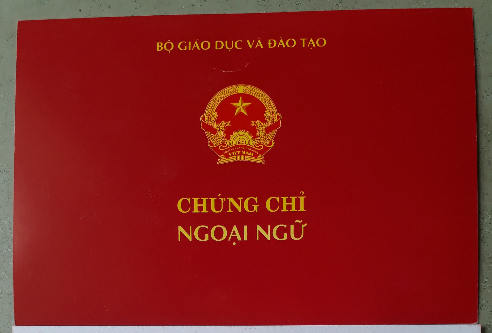 Trước thông tin khai tử chứng chỉ ngoại ngữ vì sao nhiều giáo viên không vui?