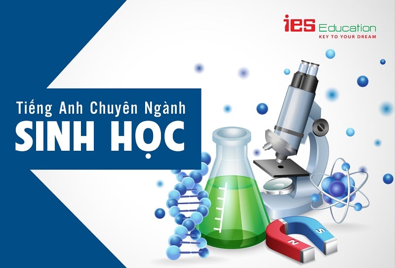 Từ vựng tiếng anh chuyên ngành sinh học ies