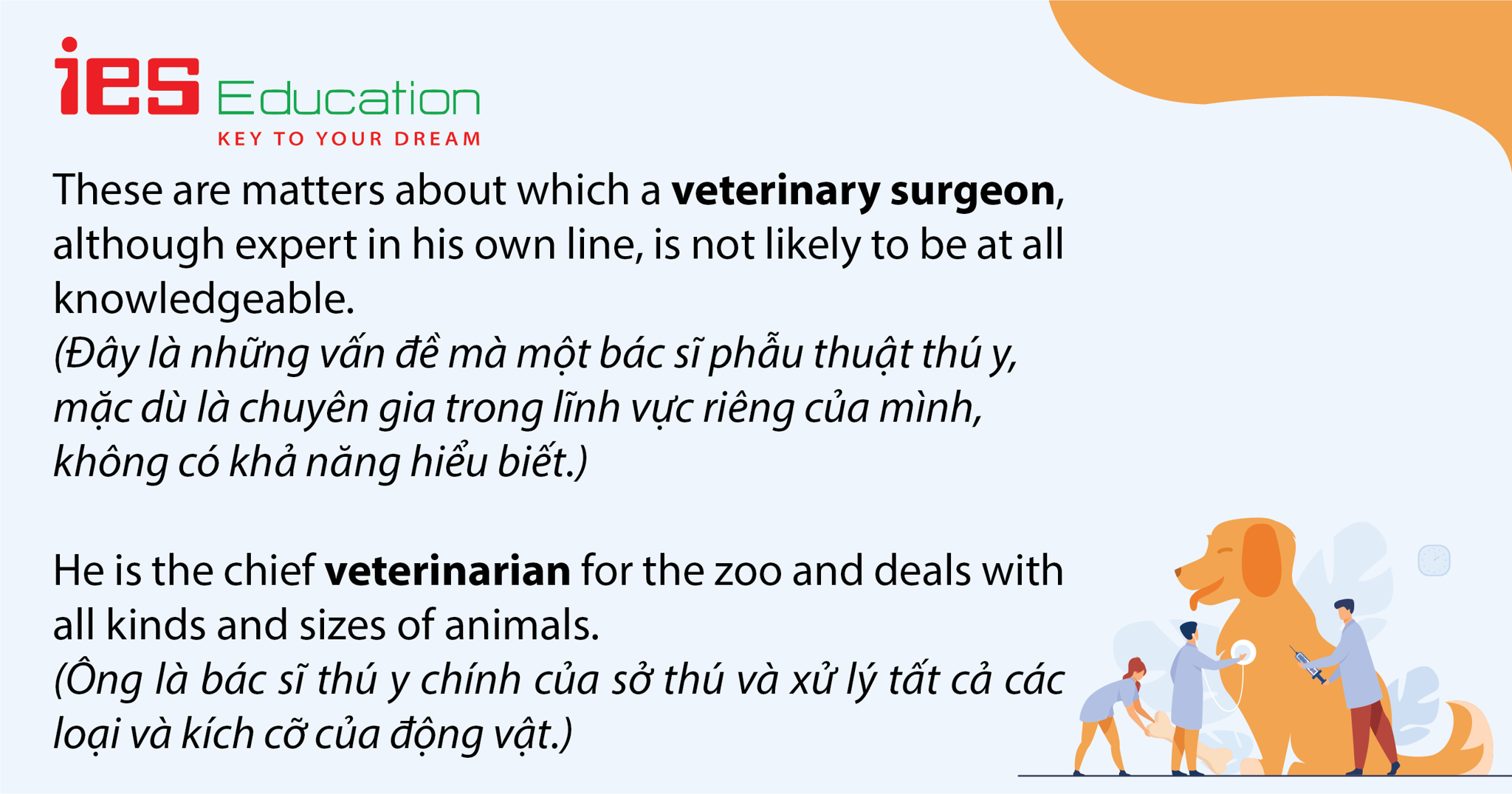 TỪ VỰNG TIẾNG ANH CHỦ ĐỀ NGHỀ NGHIỆP LĨNH VỰC Y TẾ VÀ CHĂM SÓC SỨC KHỎE