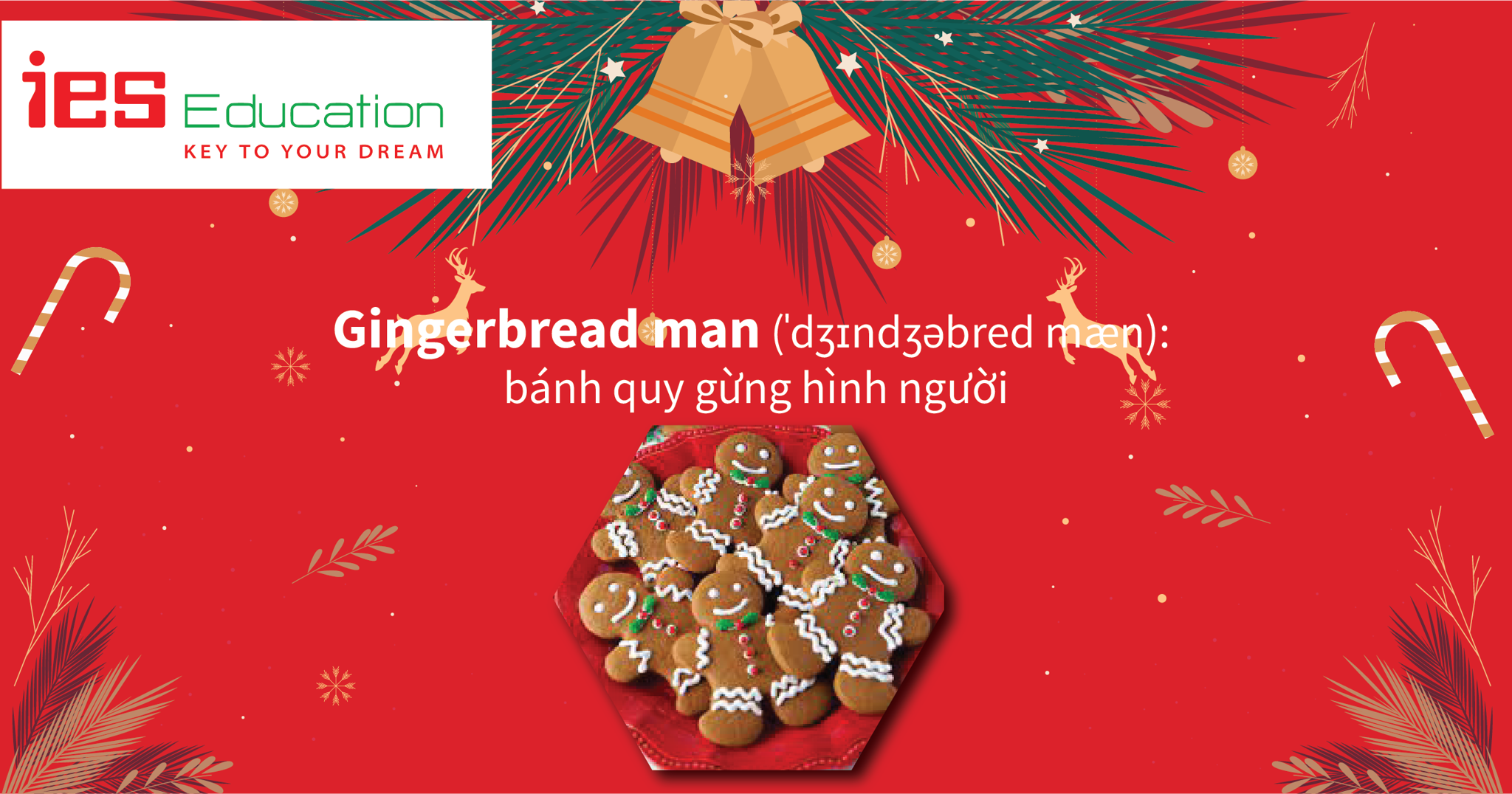 TỪ VỰNG TIẾNG ANH VỀ GIÁNG SINH, NOEL