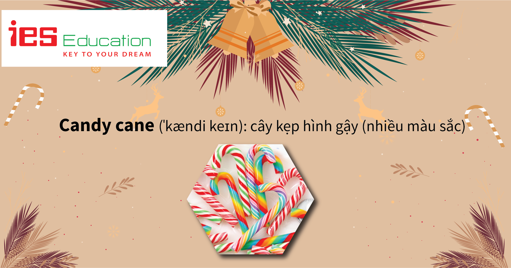 TỪ VỰNG TIẾNG ANH VỀ GIÁNG SINH, NOEL