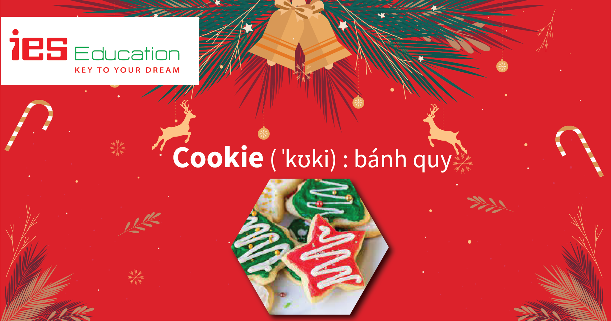 TỪ VỰNG TIẾNG ANH VỀ GIÁNG SINH, NOEL