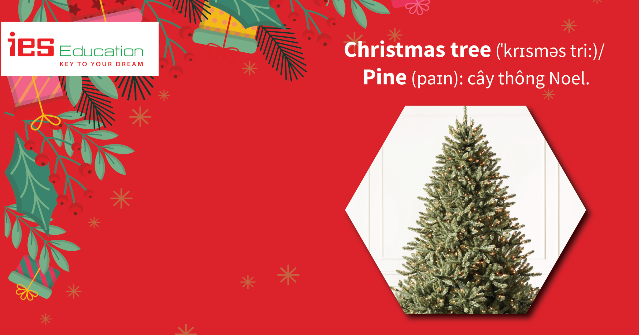 TỪ VỰNG TIẾNG ANH VỀ GIÁNG SINH, NOEL