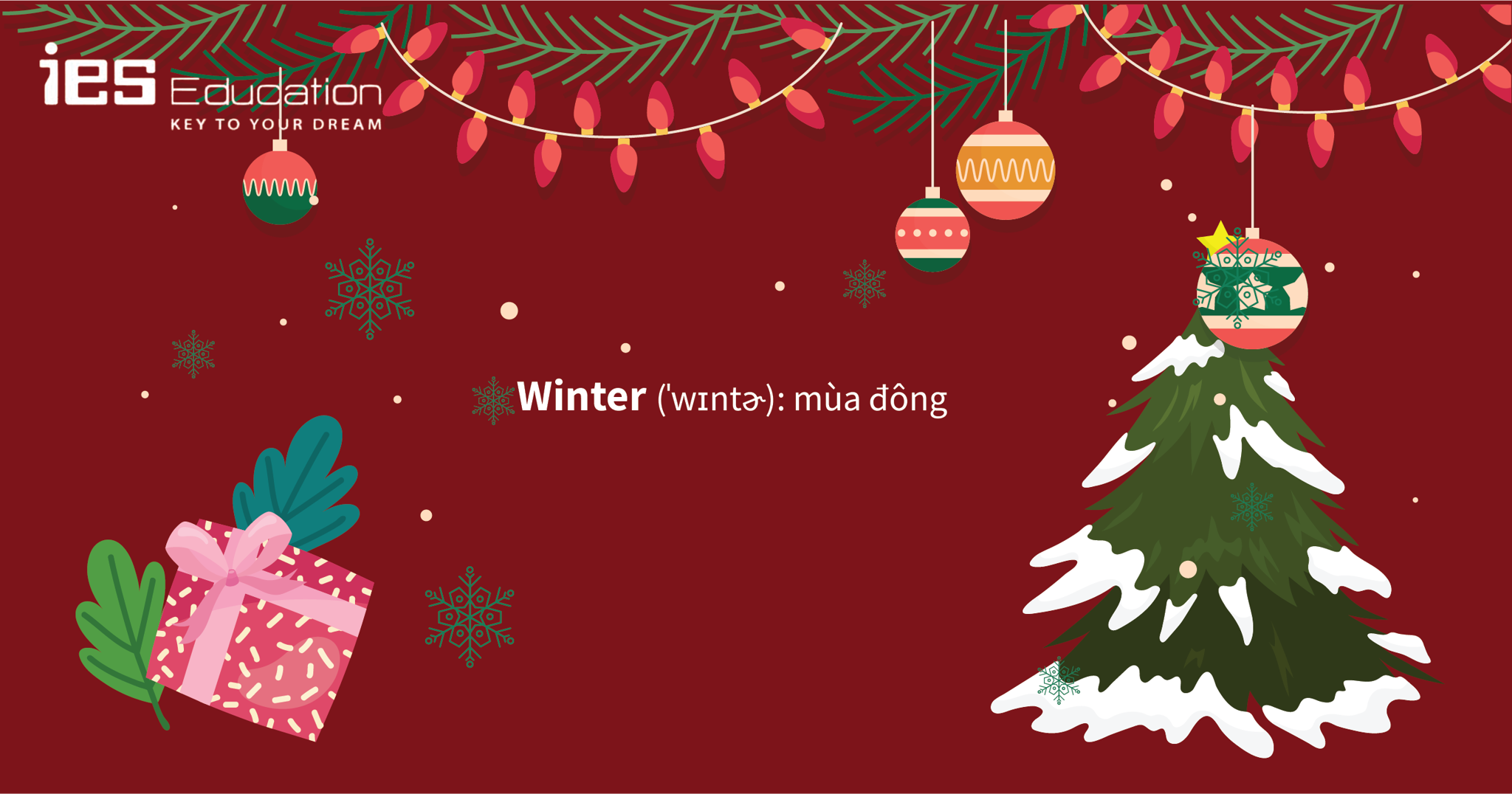 TỪ VỰNG TIẾNG ANH VỀ GIÁNG SINH, NOEL