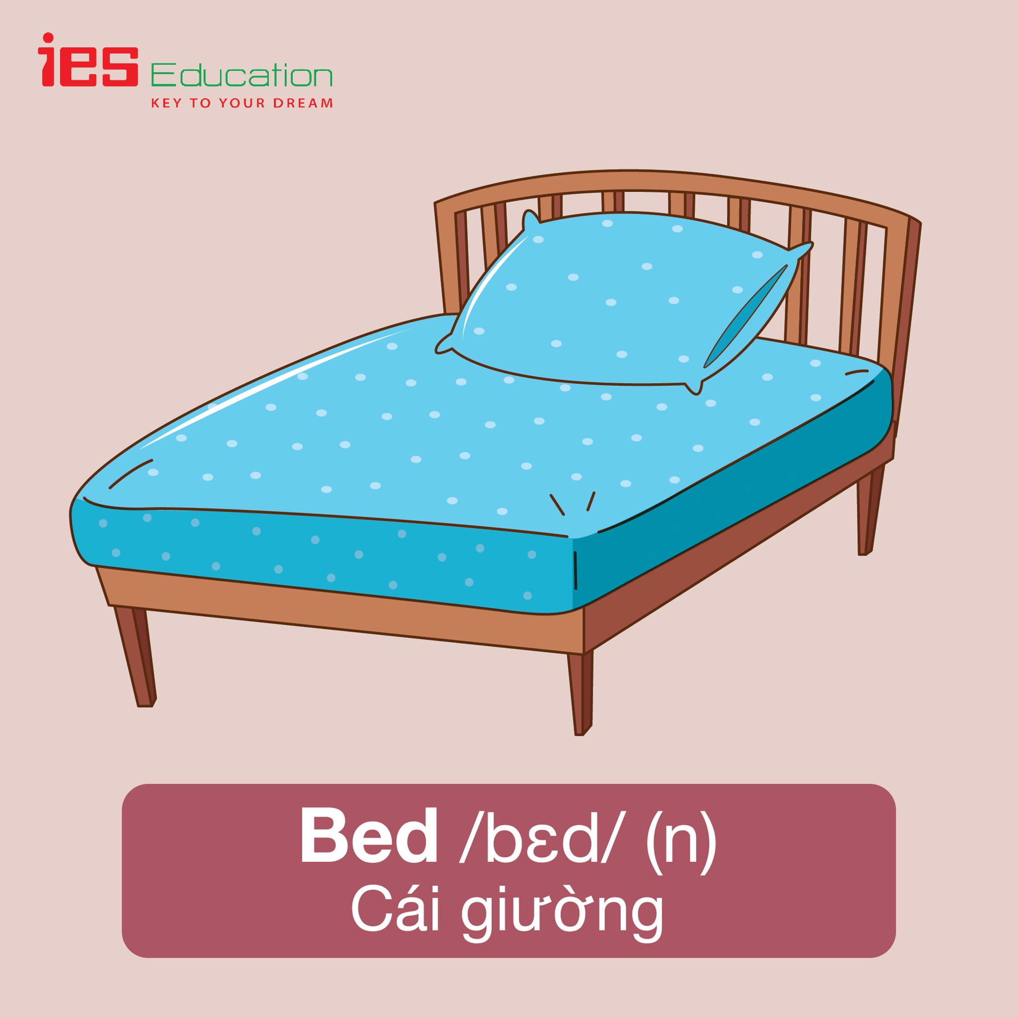 Từ vựng tiếng anh chủ đề phòng ngủ - Bedroom - IES Education