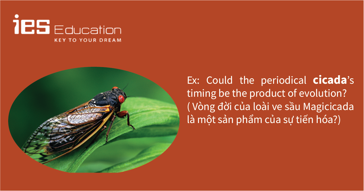 TỪ VỰNG TIẾNG ANH VỀ&nbsp;CÁC LOÀI CÔN TRÙNG